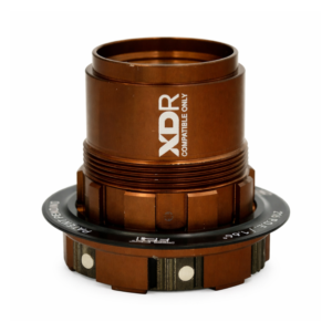 Body Stans M-pulse Xdr