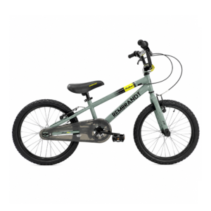 Bicicleta Infantiles Rod 20 Rembrandt
